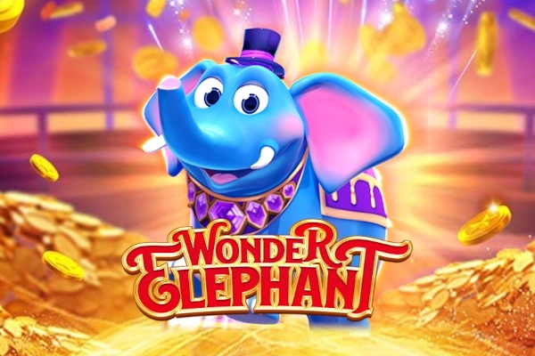 11416 wonder elephant