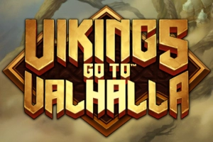 25577 vikings go to valhalla